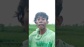 Download lagu Katakatadarimasi #mangkicauoffecial yunkandangsobatngarit #lifeisbutadream mp3