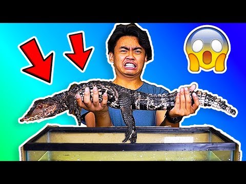 WHATS IN THE BOX - UNDERWATER EDITION (Extreme)