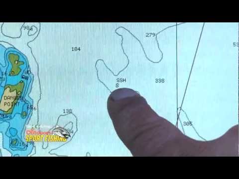 How to Target Halibut