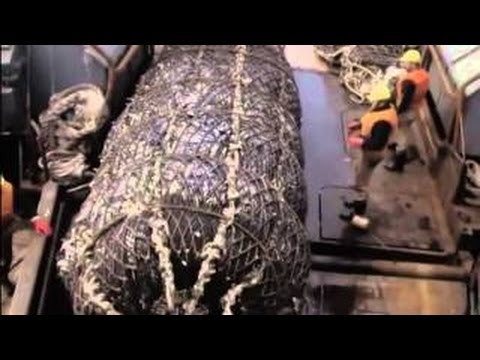 UNSERE DDR HOCHSEEFISCHER IM ATLANTIK II