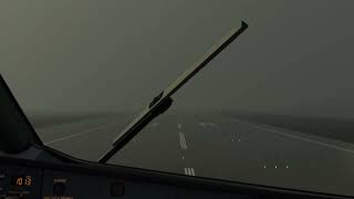 FENIX  319,320,321 Clean windshield+Rain+Sensors+Cabin windown video