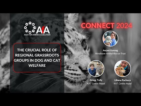 The crucial role of regional grassroots groups in dog and cat welfare