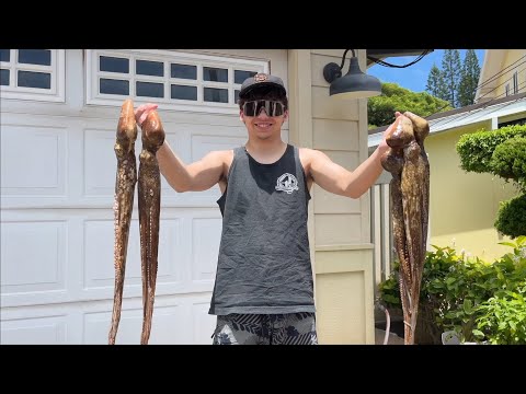 Harvesting FRESH Tako Diving in Hawaiʻi | CHERREH Dive For Octopus!