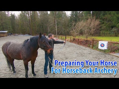 Preparing Your Horse For Horseback Archery