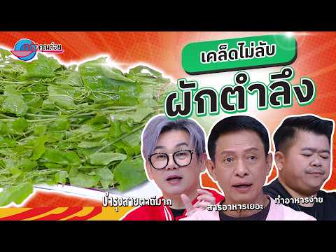 คลิกเพื่อดูคลิปวิดีโอ