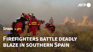 Firefighters battle deadly wildfire in southern Spain | AFP