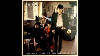 Dogs - The Most Forgotten French Boy