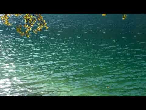 Relaxation Music: Nature