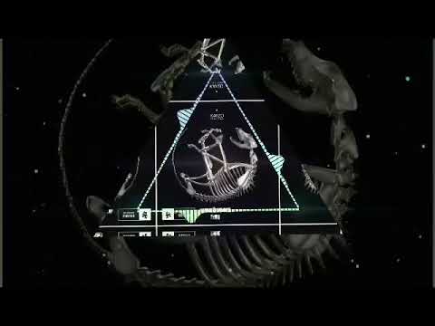 Kayzo - This Time (Wavshaperz Edit)