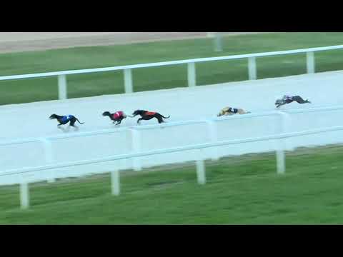 2017.10.06. 3. futam - Agár verseny