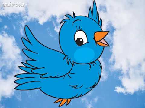 تعليم الالوان للاطفال | الالوان باللغة العربية | بالامثلة من البيئة | بيبى ستار هنا hana