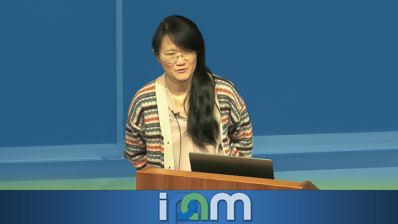 Qin Li - Stabilizing plasma instabilities cast as PDE-constrained optimization - IPAM at UCLA