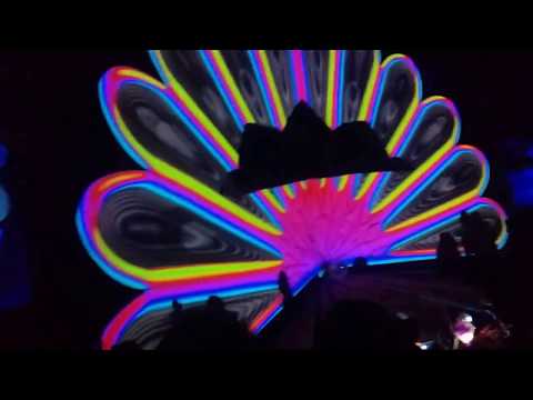 some impressions from the Goa-Gil-Ritual (Tutow, Germany 2018)