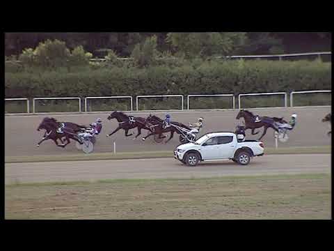 Trotto 03/07/2020 - 2ª corsa