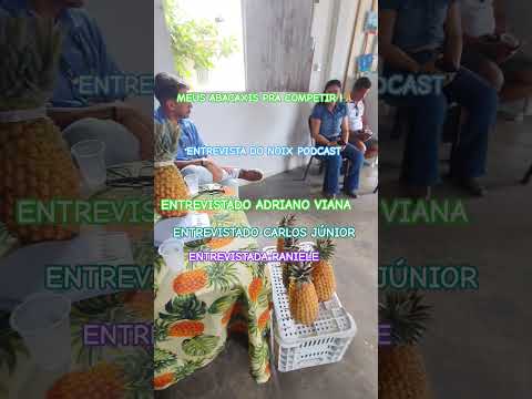 Meu abacaxi para o festival do abacaxi em São Francisco de Itabapoana RJ