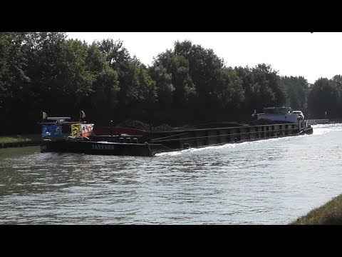 MS Tarkana  06003569