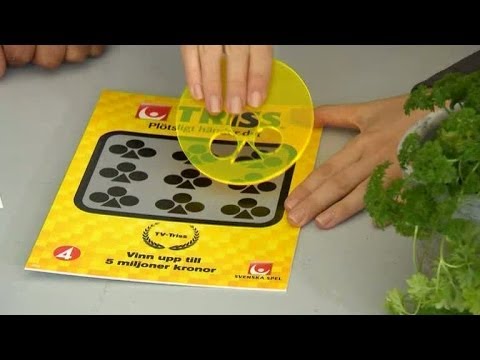 Hanna skrapar Triss - Nyhetsmorgon (TV4)