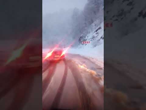 Sergo markosyan dilijani shash mart amis@