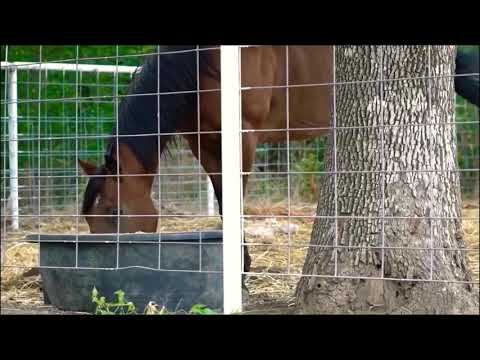 Countryboy Swag- J.Friday Ft. Mike Jackson