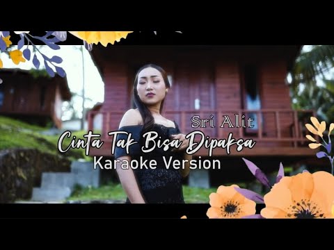 KARAOKE // CINTA TAK BISA DI PAKSA // SRI ALIT  ( official musik vidio )