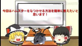 [ゆっくりかえで]始めて飼う人にオススメ！簡単なハムスターのなつかせ方
