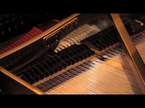 The Stradivarius Tour 2014 - Cluj and Timişoara