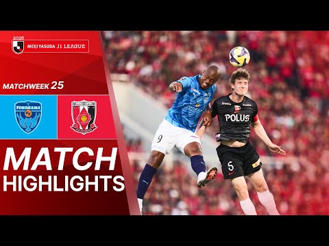 bg-highlight
