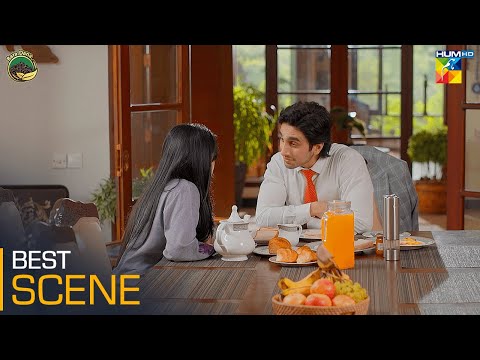 𝐅𝐚𝐢𝐫𝐲 𝐓𝐚𝐥𝐞 𝟐 - Episode 10 - Best Scene 03 - #seharkhan #hamzasohail - HUM TV