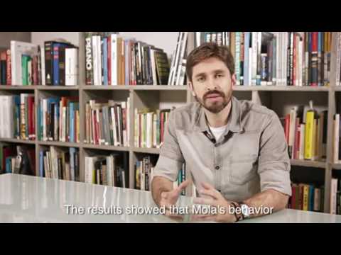 Mola Structural Model.