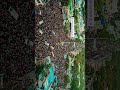 Goripalayam GORIPALAYAM SAMBAVAM