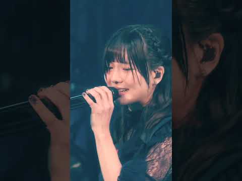 Last Summer Daydream / Ringwanderung Live at KT Zepp Yokohama (2025.09.06) #live #idol  #ライブ #アイドル