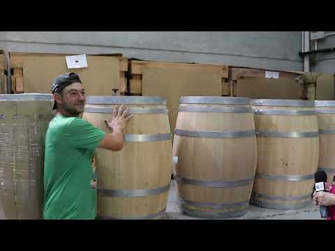 O Rio Grande Rural foi até Monte Belo do Sul para conferir uma das melhores safras de uva.