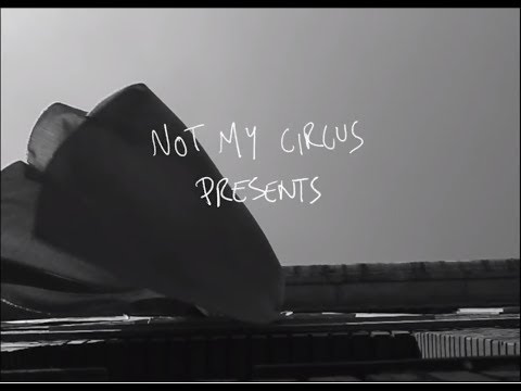 Not My Circus - Sabatini (Official Video)