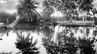 Ed Sheeran - Nina (Official Video)