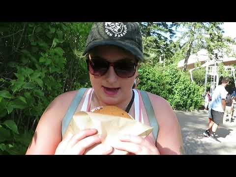 Canada's Wonderland Aug 2021 | Amusement Park Vlog |