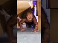 HUMAN RAT MONSTER PRANK