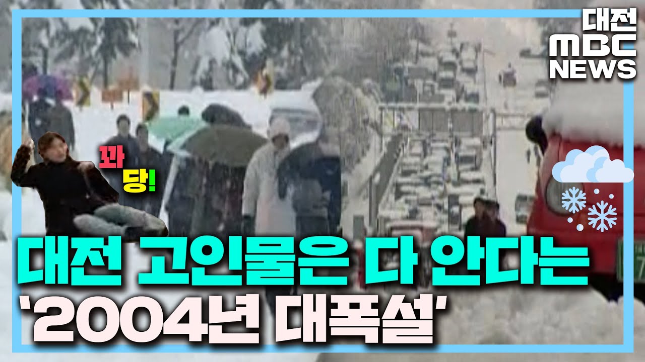 펑펑 눈이 옵니다~ 신호등이 무너지게 눈이 옵니다❄ㅣ2004년, 대전에 내렸던 100년만의 폭설ㅣ그때 그 뉴스