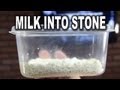 How to Turn Milk into Stone! 
