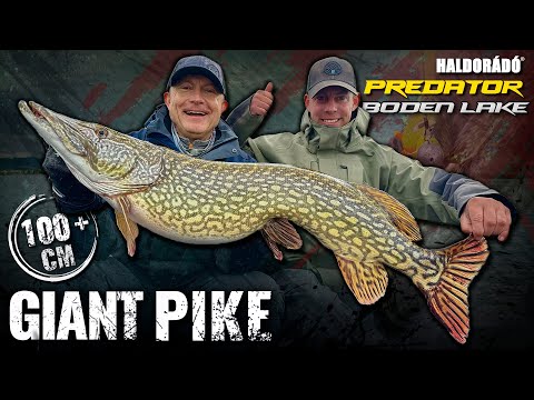 Döme Gábor - Az óriás csukák tava