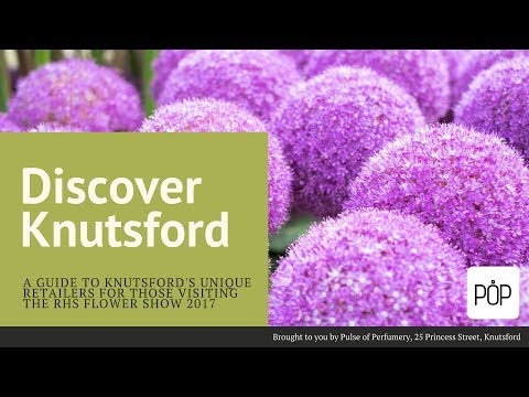 Discover Knutsford - The Real Fruit Creamery