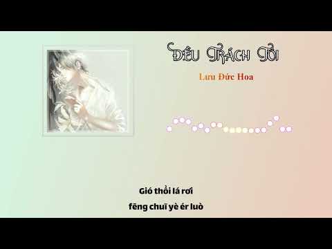 [Vietsub + Pinyin] Đều Trách Tôi - Lưu Đức Hoa