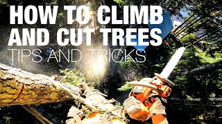 How To Climb and Cut Trees SOLO Tips and Tricks