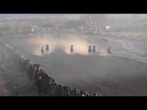 ESTRELLA  Club Hípico Añelo - Añelo - 16-07-2023