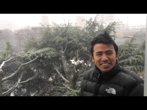 Snow first fall pranil