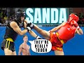 How Good Is Sanda | Challenges Of Fighting Sanda Athletes