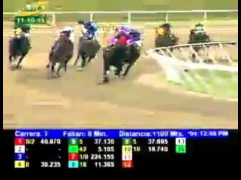 LA RINCONADA 7 CARRERA, DOMINGO 11 DE OCTUBRE DEL 2015