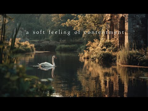 A soft feeling of contentment | Piano Playlist