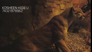 Kosheen - Hide U (John Creamer &amp; Stephane K Remix Edit)  #arttrack