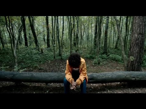 Make It Better | Dashdot e Maxximal feat. Ashibah (Zac e Bakka Remix) | TRADUÇÃO