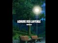 Mere Sare Khwab Adhure Reh Jayenge WhatsApp Status Shayri Shorts Alonestatus Status